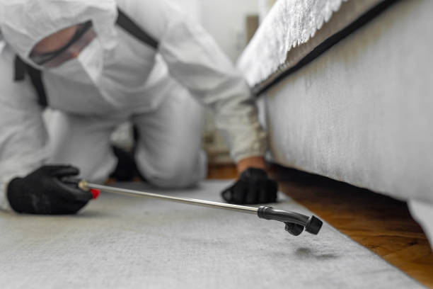 Professional Bed Bug Control technician working in Fox Lake Hills, IL