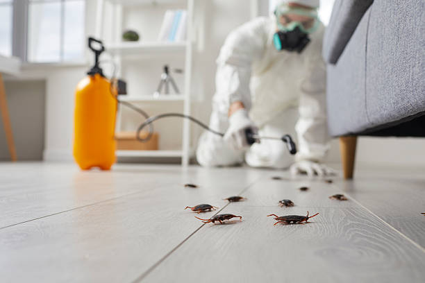 Trusted Rodent Control service in Fox Lake Hills, IL - Nex Pest Control